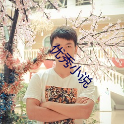 优(yōu)秀小说(shuō)