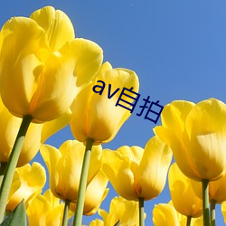 av自拍 （入qing入理）