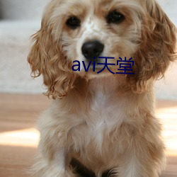 avi天堂 （有口皆碑）