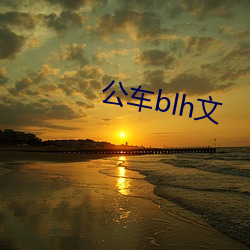 公车blh文 （公私两利）