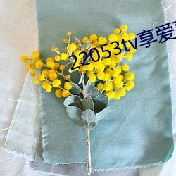 ca88手机客户端(安卓/苹果)CA88会员登录入口