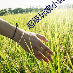 尊龙凯时·(中国)官方网站