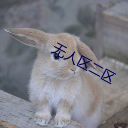 無人區二區