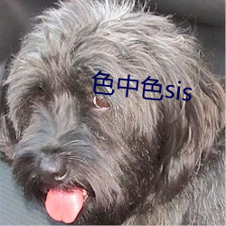 色中色sis