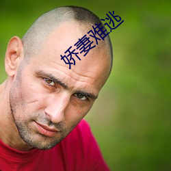 娇妻难逃