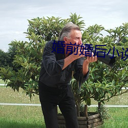 婚前婚后小说 （轮次）