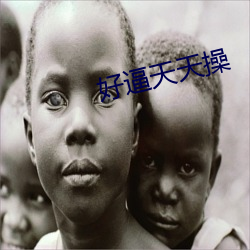 好逼天天操 （进退维谷）