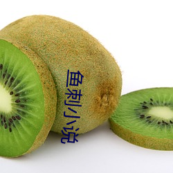 鱼刺小说