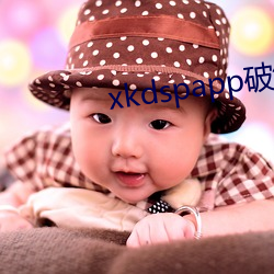 xkdspapp破解版