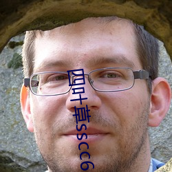 四叶草(草)sscc66555