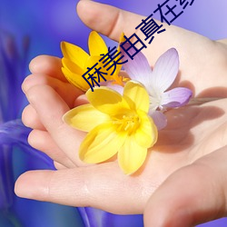 金年会(中国)官方网站