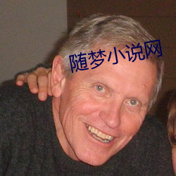 隨夢小說網