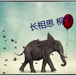 长相思 桐华 （朝思暮想）