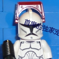首(首)席的独家(家)宠(寵)爱