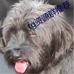 tg资源群推荐 苗圃）