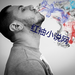 红袖小说网(網)