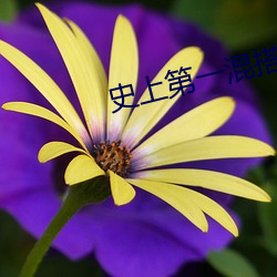 vwinӮ(й) - ٷվ