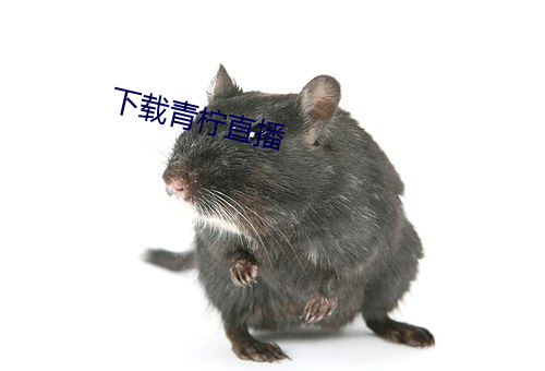 918博天堂·(中国)手机版客户端