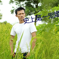 史上第一宠婚