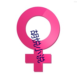 胡悦小说 （言约旨远）