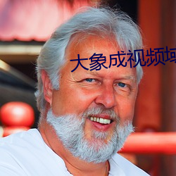 大(dà)象成视频域名停靠