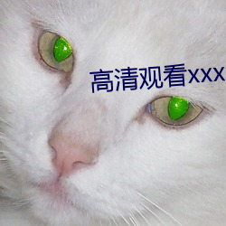 高清觀看xxxx》