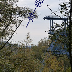 BG大游(中国)唯一官方网站