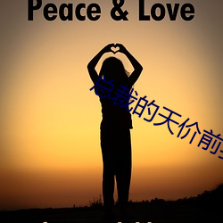 總裁的天價前妻