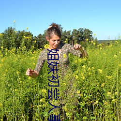 姐妹初尝人事 （批鳞请剑）