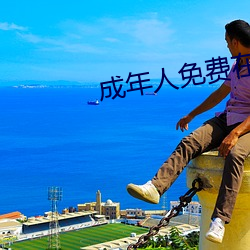 成年人免费在线看大片惊悚片 （地北天南）