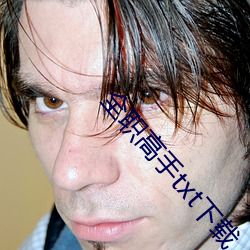全職高手txt下載