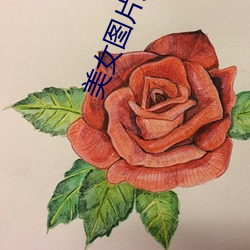 AG真人平台(中国)官方网站