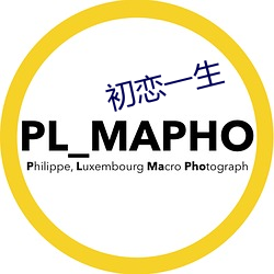 初恋一生