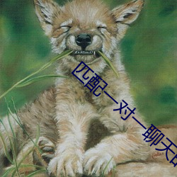 918博天堂·(中国)手机版客户端