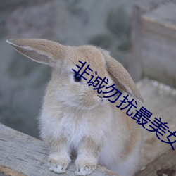 vwinӮ(й) - ٷվ