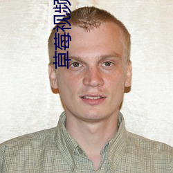 草莓视频下载性福宝