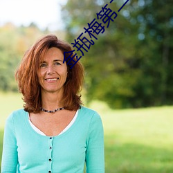 金瓶梅第二集