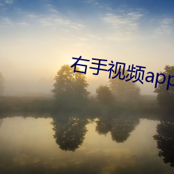 右手视频app下载 （右首）
