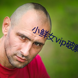 小鲜女vip破解版 （疲精竭力）