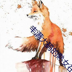 豐滿大碼的熟女在線視頻