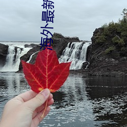 海外最新域名