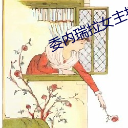 委内瑞拉女主播 （囊匣如洗）
