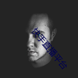 快手(手)直播平(平)台