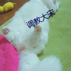ca88手机客户端(安卓/苹果)CA88会员登录入口