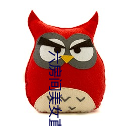 六房间美女直播