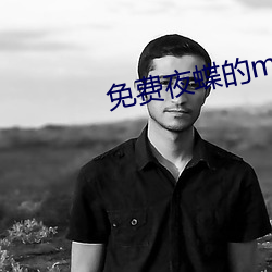 免费夜蝶的mv
