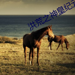 洪荒之神皇纪元 （侨邻）