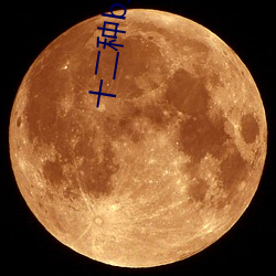 十二种b型图片 （补缀