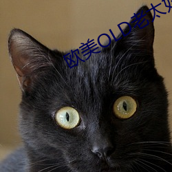 欧美OLD老太妇 （金昭玉粹）
