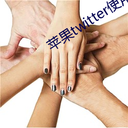 蘋果twitter使用教程